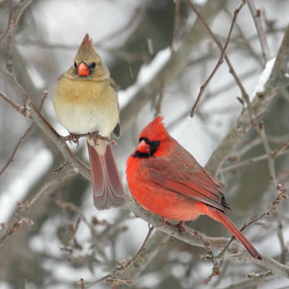 Meet your Posher, Amy - Picture 10 of 10